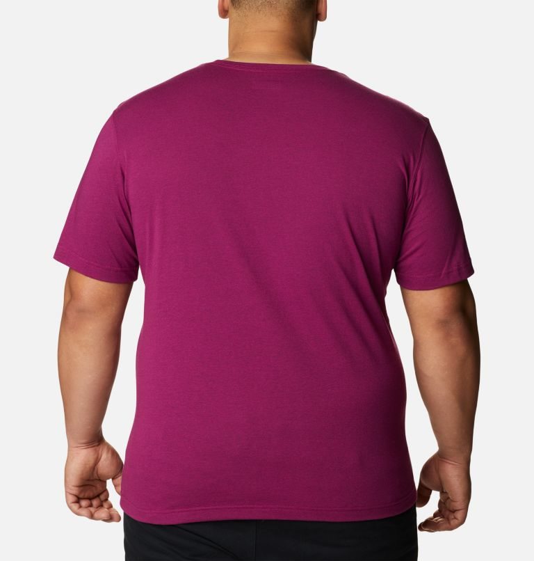 Men's Columbia Thistletown Hills Short Sleeve T Shirts Fuchsia | Plus Size CA-YL684
